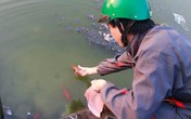 Năm Mậu Tuất cúng Táo Quân vào ngày nào? Năm Mậu Tuất cúng Táo Quân vào ngày nào?