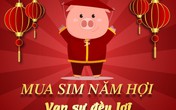 Mua sim số đẹp để cầu đón lộc tài năm Kỷ Hợi Mua sim số đẹp để cầu đón lộc tài năm Kỷ Hợi