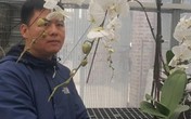 8X đất cố đô kiếm bộn tiền dịp Tết nhờ trồng lan hồ điệp 8X đất cố đô kiếm bộn tiền dịp Tết nhờ trồng lan hồ điệp