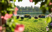 Tết này chơi đâu: Đến Ecopark du xuân cắm trại tại công viên ven vịnh hồ lớn nhất miền Bắc Tết này chơi đâu: Đến Ecopark du xuân cắm trại tại công viên ven vịnh hồ lớn nhất miền Bắc
