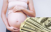 Vụ mang thai hộ xuyên Quốc gia: Tiền tỷ vào túi ai? Vụ mang thai hộ xuyên Quốc gia: Tiền tỷ vào túi ai?