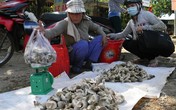 Nấm tươi tăng giá, nông dân sợ nhất 'đụng hàng' với nấm Trung Quốc Nấm tươi tăng giá, nông dân sợ nhất 'đụng hàng' với nấm Trung Quốc