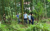 Sự thật về cái chết của một Phó chủ tịch UBND xã ở Bắc Giang Sự thật về cái chết của một Phó chủ tịch UBND xã ở Bắc Giang