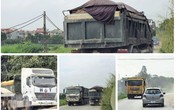 Xe tải gắn “logo vua”, lực lượng chức năng không dám “hỏi thăm”? Xe tải gắn “logo vua”, lực lượng chức năng không dám “hỏi thăm”?