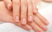 Những dấu hiệu từ móng tay cảnh báo ung thư hoặc gan "sắp hỏng" Những dấu hiệu từ móng tay cảnh báo ung thư hoặc gan "sắp hỏng"