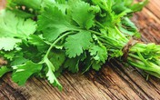 5 thực phẩm "nặng mùi" nhưng là thuốc quý cho chị em, đồ bổ trăm triệu chưa chắc tốt bằng 5 thực phẩm "nặng mùi" nhưng là thuốc quý cho chị em, đồ bổ trăm triệu chưa chắc tốt bằng