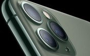 iPhone ế ẩm, Apple sống nhờ tai nghe, đồng hồ và dịch vụ iPhone ế ẩm, Apple sống nhờ tai nghe, đồng hồ và dịch vụ