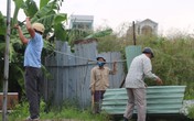 Khi nào tình trạng giang hồ chiếm đất ở Hải An, Hải Phòng chấm dứt? Khi nào tình trạng giang hồ chiếm đất ở Hải An, Hải Phòng chấm dứt?