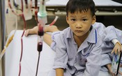 Rớt nước mắt câu trả lời của cậu bé sống nhờ máu người lạ khi mẹ hỏi: 'Muốn có em trai hay gái'? Rớt nước mắt câu trả lời của cậu bé sống nhờ máu người lạ khi mẹ hỏi: 'Muốn có em trai hay gái'?