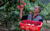 Cụ ông 70 tuổi mắc ung thư gan vẫn sống khỏe nhờ một bát súp và chú ý 2 việc Cụ ông 70 tuổi mắc ung thư gan vẫn sống khỏe nhờ một bát súp và chú ý 2 việc