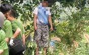 Người treo cổ tự tử ở Đắk Nông là cha của hai bé bị sát hại ở Vũng Tàu Người treo cổ tự tử ở Đắk Nông là cha của hai bé bị sát hại ở Vũng Tàu