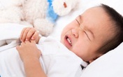 Cơm mớm và con đường lây nhiễm virus HP không ngờ tới Cơm mớm và con đường lây nhiễm virus HP không ngờ tới