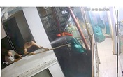 Hà Nội: Khởi tố vụ án mang gậy sang nhà hàng xóm “nói chuyện” Hà Nội: Khởi tố vụ án mang gậy sang nhà hàng xóm “nói chuyện”