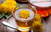 Những thực phẩm giúp giải độc gan bạn cần biết Những thực phẩm giúp giải độc gan bạn cần biết