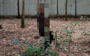 Người đàn ông chết trong tư thế treo cổ trên cây cao su, chân còn chạm đất Người đàn ông chết trong tư thế treo cổ trên cây cao su, chân còn chạm đất
