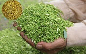Giải pháp hỗ trợ điều trị huyết áp cao Giải pháp hỗ trợ điều trị huyết áp cao