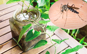Vệ sinh nhà ở đúng cách để bảo vệ sức khoẻ người thân yêu Vệ sinh nhà ở đúng cách để bảo vệ sức khoẻ người thân yêu