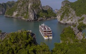 Thành lập bảo tàng "Vua tàu thuỷ" Bạch Thái Bưởi trên du thuyền triệu đô Thành lập bảo tàng "Vua tàu thuỷ" Bạch Thái Bưởi trên du thuyền triệu đô
