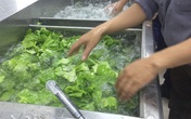 Rửa rau dưới vòi nước chảy hay trong chậu mới sạch? Câu trả lời bất ngờ từ chuyên gia Rửa rau dưới vòi nước chảy hay trong chậu mới sạch? Câu trả lời bất ngờ từ chuyên gia
