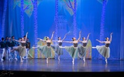 Cơ hội thưởng thức vở ballet hồ thiên nga giữa hồ thiên nga Ecopark Cơ hội thưởng thức vở ballet hồ thiên nga giữa hồ thiên nga Ecopark
