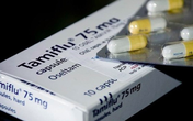 Gần 200.000 viên Tamiflu sắp về, giải "cơn khát" thuốc cúm Gần 200.000 viên Tamiflu sắp về, giải "cơn khát" thuốc cúm