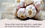 Tỏi là “thuốc kháng sinh tự nhiên” được cả thế giới trân trọng nhưng 7 nhóm người này thì cần phải tuyệt đối tránh Tỏi là “thuốc kháng sinh tự nhiên” được cả thế giới trân trọng nhưng 7 nhóm người này thì cần phải tuyệt đối tránh