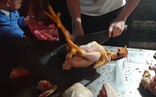 Giá thịt gà ở Hà Nội tăng do “hùa” theo giá thịt lợn? Giá thịt gà ở Hà Nội tăng do “hùa” theo giá thịt lợn?