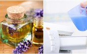 6 sản phẩm quen thuộc trong nhà 'thấm đẫm' hóa chất độc hại 6 sản phẩm quen thuộc trong nhà 'thấm đẫm' hóa chất độc hại