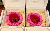 Nửa triệu đồng một quả dâu tây Nhật làm quà Valentine Nửa triệu đồng một quả dâu tây Nhật làm quà Valentine