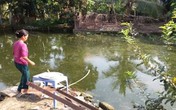 Về quê chơi cùng bà ngoại, bé trai 4 tuổi bị ngã xuống ao tử vong Về quê chơi cùng bà ngoại, bé trai 4 tuổi bị ngã xuống ao tử vong