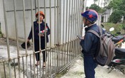 Dịch tả lợn châu Phi: Người chăn nuôi lợn Thanh Hóa đang kiệt sức Dịch tả lợn châu Phi: Người chăn nuôi lợn Thanh Hóa đang kiệt sức
