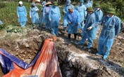 Quảng Ninh: Người dân chủ quan, tự đem lợn tiêu hủy tại vườn nhà Quảng Ninh: Người dân chủ quan, tự đem lợn tiêu hủy tại vườn nhà