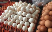 Trứng gà rẻ chưa từng thấy: Lỗ 10 triệu/ngày, vài bữa nữa tôi phá sản Trứng gà rẻ chưa từng thấy: Lỗ 10 triệu/ngày, vài bữa nữa tôi phá sản