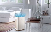 5 mẹo đơn giản để giữ nhà cửa sạch sẽ, trong lành trong những ngày Hà Nội đang ở đỉnh ô nhiễm không khí 5 mẹo đơn giản để giữ nhà cửa sạch sẽ, trong lành trong những ngày Hà Nội đang ở đỉnh ô nhiễm không khí