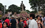 Chật cứng người đi xem Lễ hội hoa anh đào Nhật Bản - Hà Nội Chật cứng người đi xem Lễ hội hoa anh đào Nhật Bản - Hà Nội