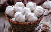 Những lợi ích nếu ăn tỏi đều đặn mỗi ngày Những lợi ích nếu ăn tỏi đều đặn mỗi ngày