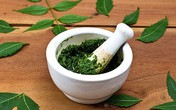 Suýt chết, phải cắt cụt chi vì chữa tiểu đường sai cách Suýt chết, phải cắt cụt chi vì chữa tiểu đường sai cách