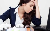 Khi thấy những dấu hiệu mệt mỏi, căng thẳng vì công việc cần dùng ngay các trà dược này Khi thấy những dấu hiệu mệt mỏi, căng thẳng vì công việc cần dùng ngay các trà dược này