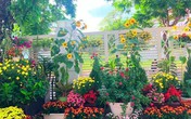 Hoa xuân đua nở trong khu vườn của diễn viên Quyền Linh Hoa xuân đua nở trong khu vườn của diễn viên Quyền Linh