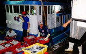 Ba món thực phẩm bà sành nội trợ cũng khó có thể mua ở đâu tươi ngon hơn nơi này Ba món thực phẩm bà sành nội trợ cũng khó có thể mua ở đâu tươi ngon hơn nơi này