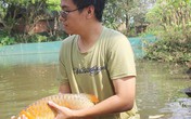 Du học ngành ẩm thực, 8x lại về quê nuôi "cá vua" trong ao làng Du học ngành ẩm thực, 8x lại về quê nuôi "cá vua" trong ao làng