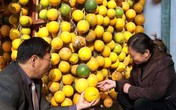 Triệu phú bỏ việc, dắt vợ con về quê trồng dưa gang và cái kết Triệu phú bỏ việc, dắt vợ con về quê trồng dưa gang và cái kết