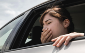 Ăn gì thoát nỗi ám ảnh say tàu xe khi đi chơi ngày lễ 30/4-1/5? Ăn gì thoát nỗi ám ảnh say tàu xe khi đi chơi ngày lễ 30/4-1/5?