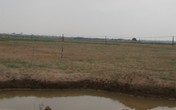 Đan Phượng, Hà Nội: Sau 3 năm giao đất xây nhà máy, vì sao người dân vẫn mòn mỏi chờ nước sạch? Đan Phượng, Hà Nội: Sau 3 năm giao đất xây nhà máy, vì sao người dân vẫn mòn mỏi chờ nước sạch?