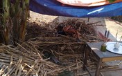 Nghệ An: Nghi án 2 người thương vong do bị sát hại Nghệ An: Nghi án 2 người thương vong do bị sát hại