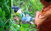 Hà Giang: Leo núi Cấm Sơn, nam thanh niên bị ngã tử vong Hà Giang: Leo núi Cấm Sơn, nam thanh niên bị ngã tử vong