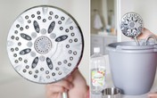 Rùng mình khi biết tác hại của việc không vệ sinh vòi hoa sen - thứ mà ai cũng nghĩ là sạch nhất trong nhà tắm