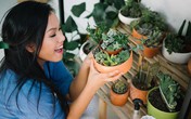 Nhặt nhạnh hoa bị bỏ đi về trồng lại, Phương Vy Idol biến ban công nhà mình thành khu vườn đẹp như quán cà phê Nhặt nhạnh hoa bị bỏ đi về trồng lại, Phương Vy Idol biến ban công nhà mình thành khu vườn đẹp như quán cà phê