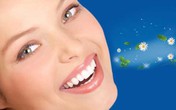 Những loại lá, quả và bài thuốc này làm hơi thở và miệng đều có mùi thơm dễ chịu Những loại lá, quả và bài thuốc này làm hơi thở và miệng đều có mùi thơm dễ chịu