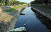 Thực hư việc chuyên gia Nhật Bản từ bỏ thí điểm làm sạch sông Tô Lịch Thực hư việc chuyên gia Nhật Bản từ bỏ thí điểm làm sạch sông Tô Lịch